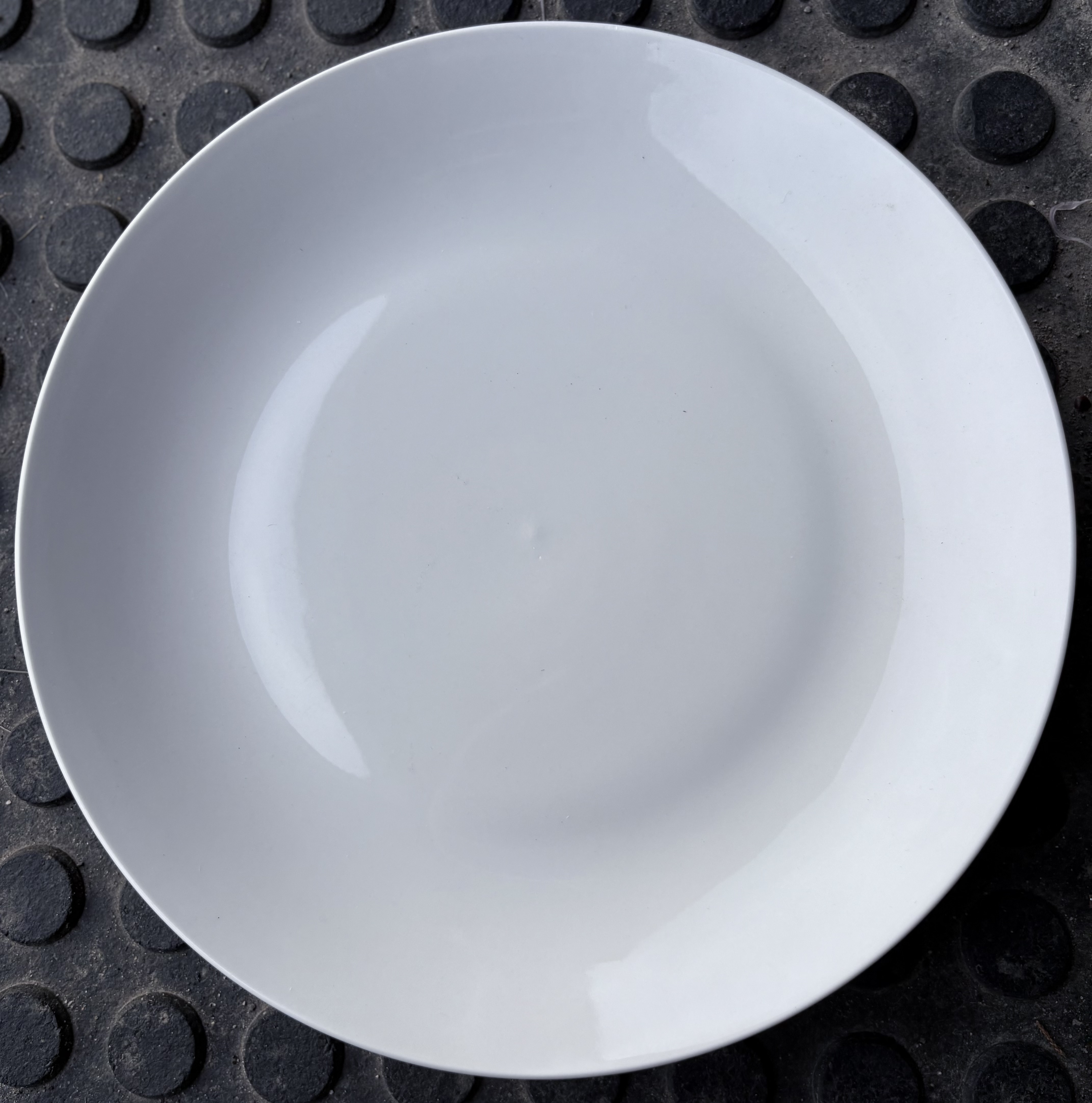 Reusable Dinner Plate