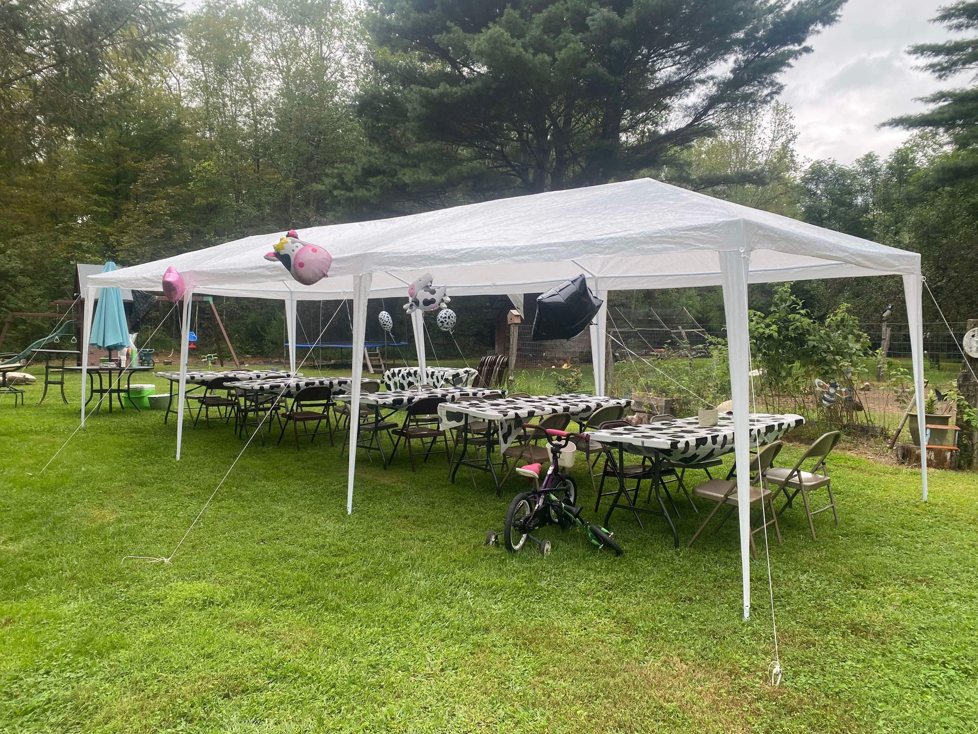 10 x 30 Canopy Tent